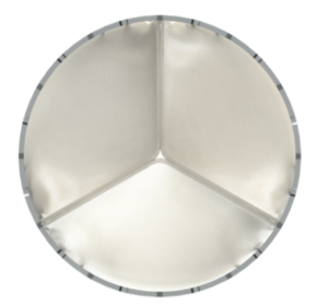 TAVR Valve TAVR Valve