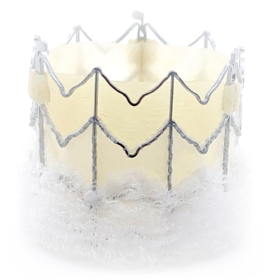 TAVR 3.2023 TAVR 3.2023