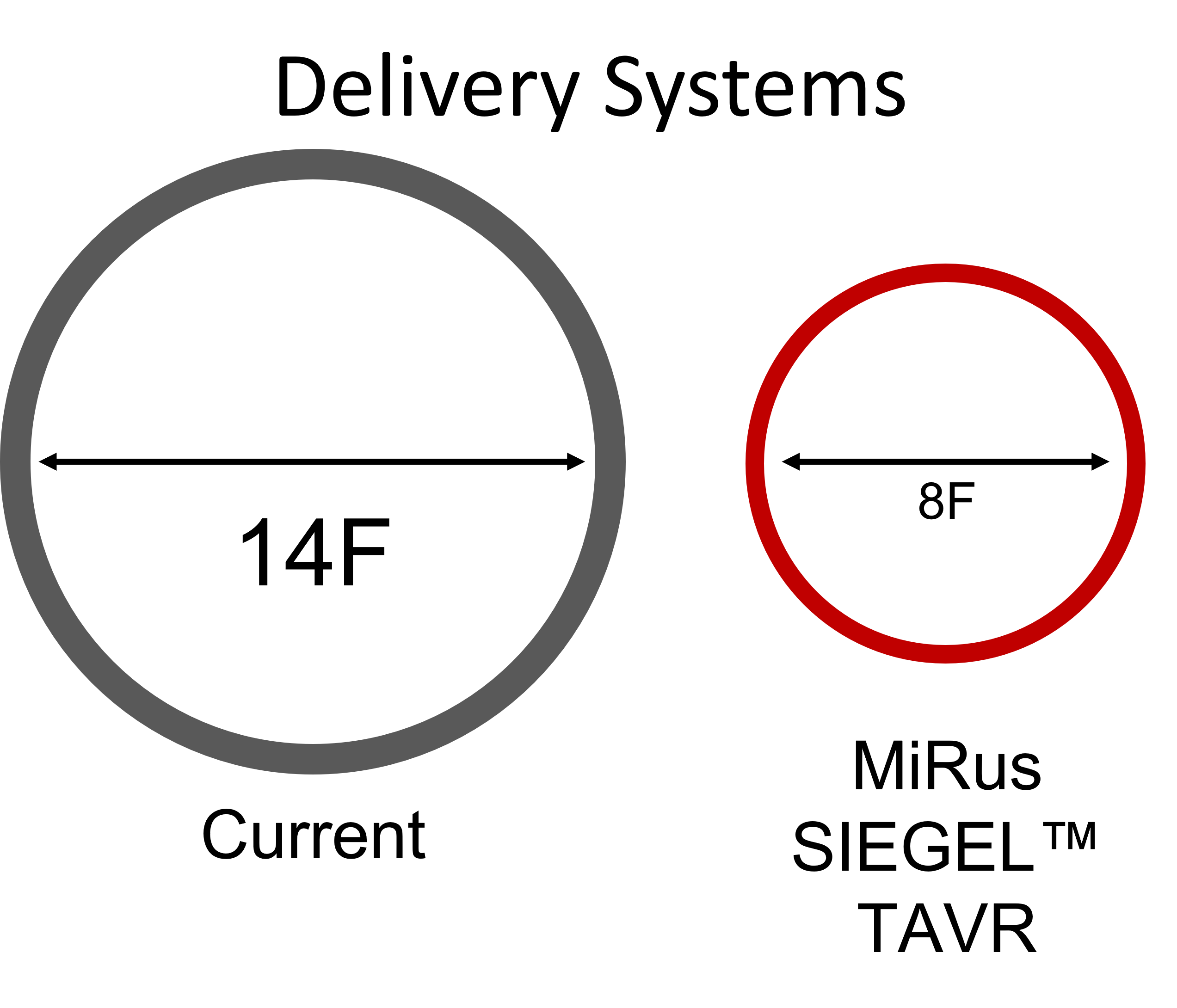 Delivery System 8F Size