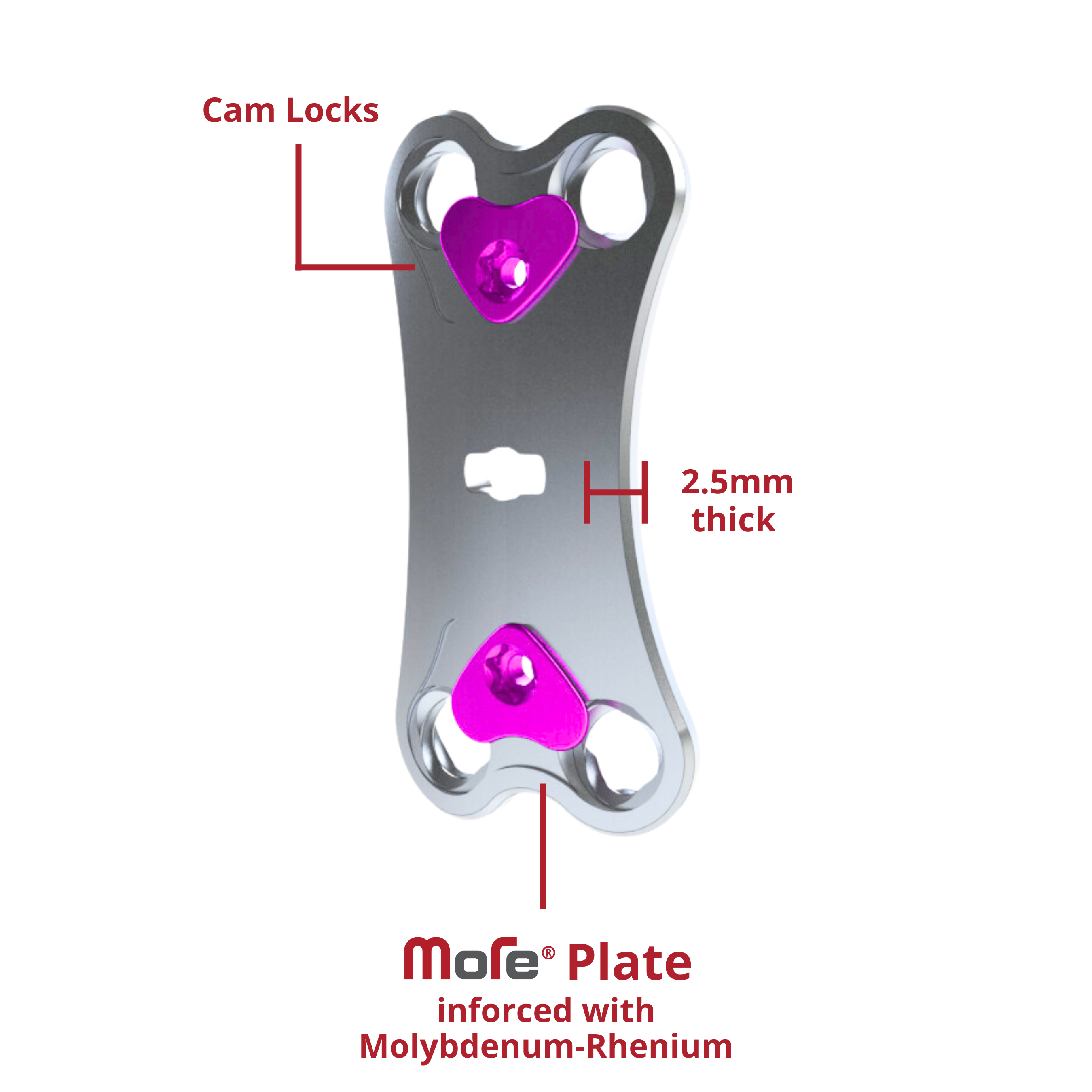 LYRA Posterior Cervical (1)