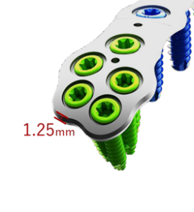 Plate-Image-from-Brochure