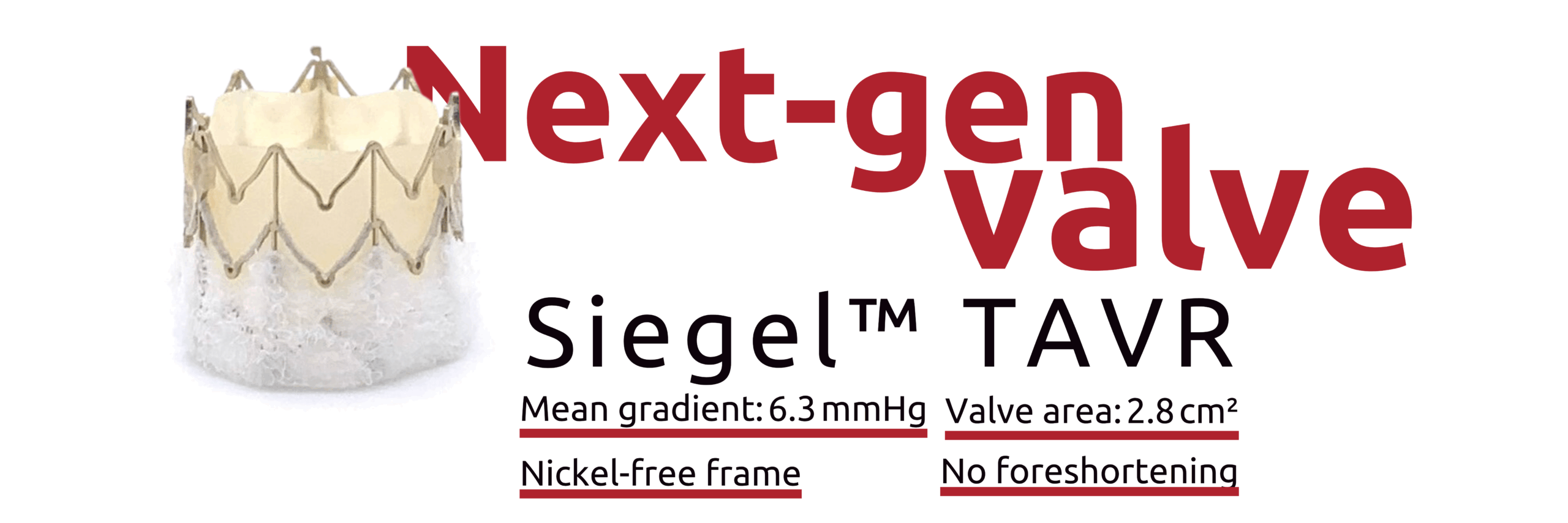 Siegel™ TAVR homepage